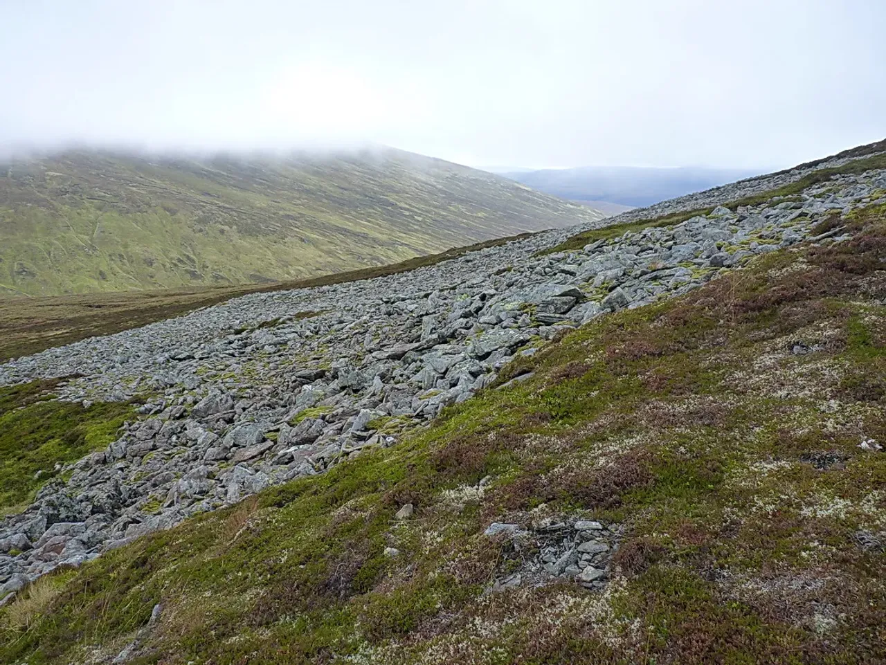 View of An Sgarsoch (1007m), Cairngorms, Scotland