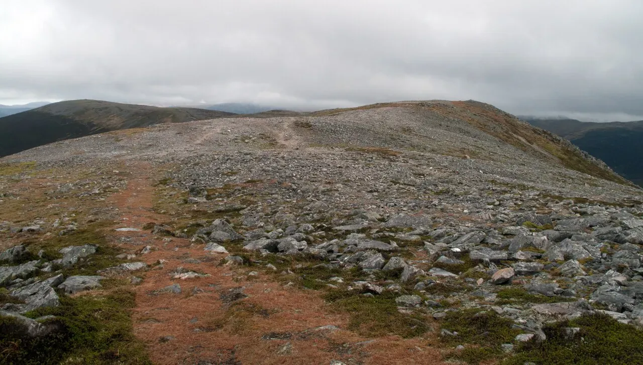 View of An Socach (Braemar) (944m), Cairngorms, Scotland