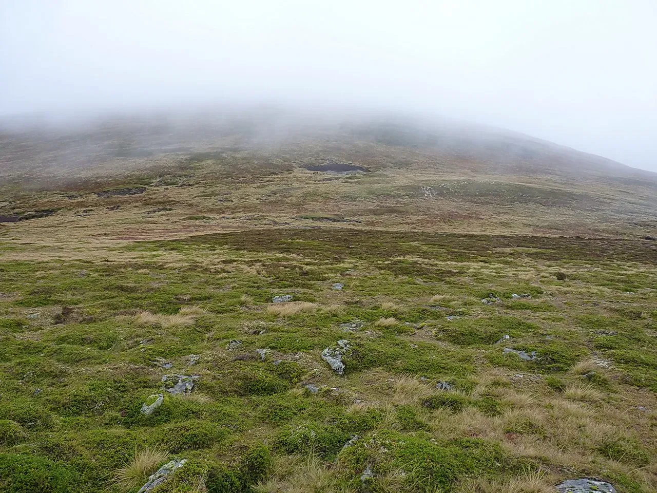 View of Carn an Fhidhleir (994m), Cairngorms, Scotland
