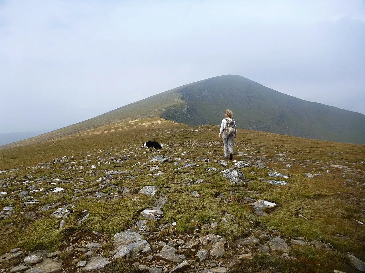 View of Fionn Bheinn (933m), Torridon, Scotland