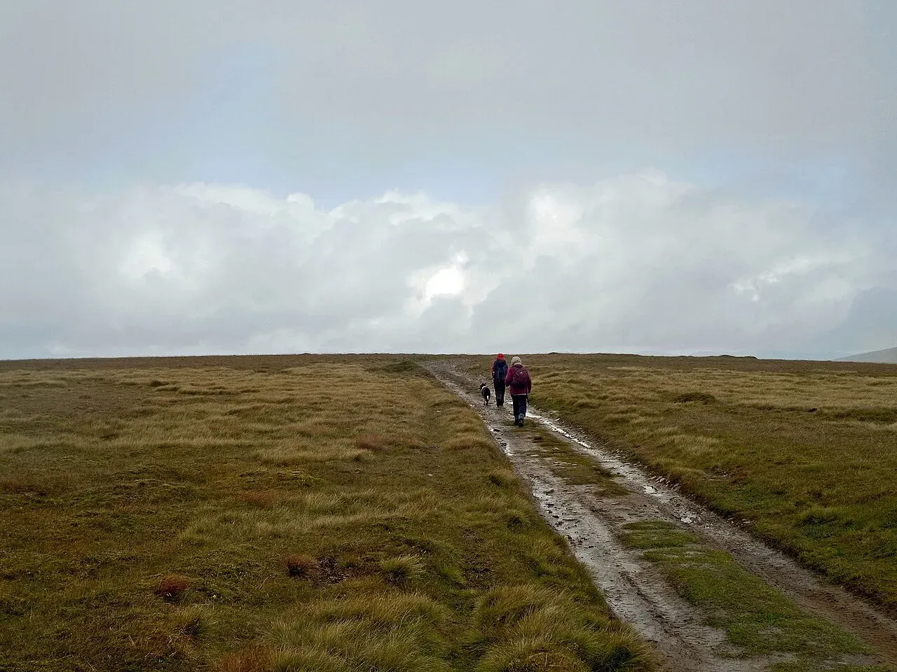View of Mullach Clach a' Bhlair (1019m), Cairngorms, Scotland